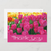 フローラサンキューピンクと黄色のチューリップ花 ポストカード (正面/裏面)