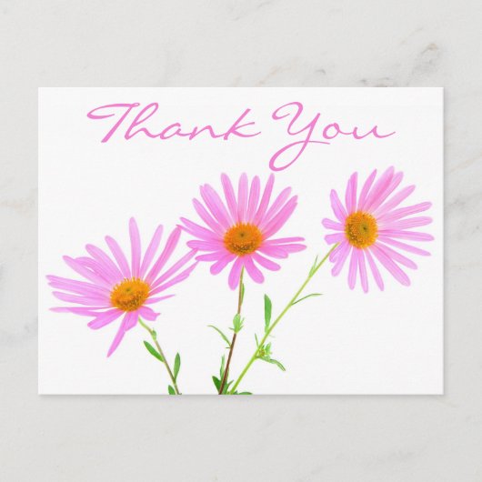フローラサンキューピンクラベンダーデイジー花 ポストカード (正面)