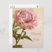 フローラサンキューピンク牡丹花 ポストカード (正面/裏面)