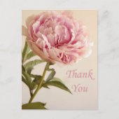 フローラサンキューピンク牡丹花 ポストカード (正面)