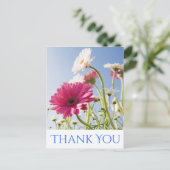 フローラサンキューピンク&ホワイトガーベラデイジー花 ポストカード (スタンド正面)