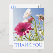 フローラサンキューピンク&ホワイトガーベラデイジー花 ポストカード (正面/裏面)
