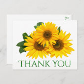 フローラサンフラワーイエロー&グリーン花 ポストカード (正面/裏面)