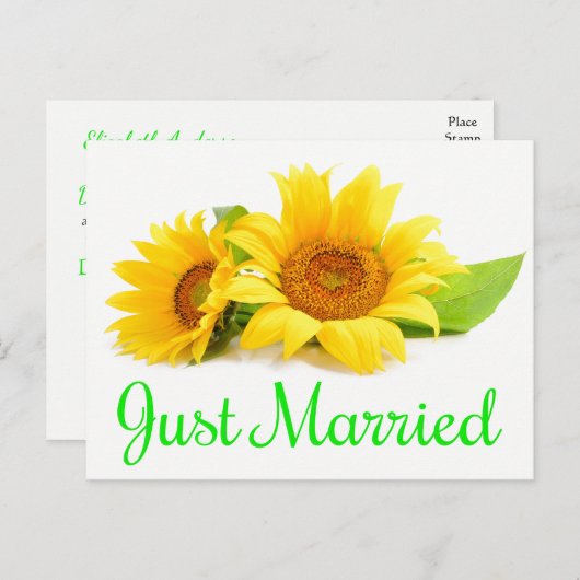 フローラシャビーシックピンクたった今結婚しましたバラ結婚ズ 案内ポストカード (正面/裏面)