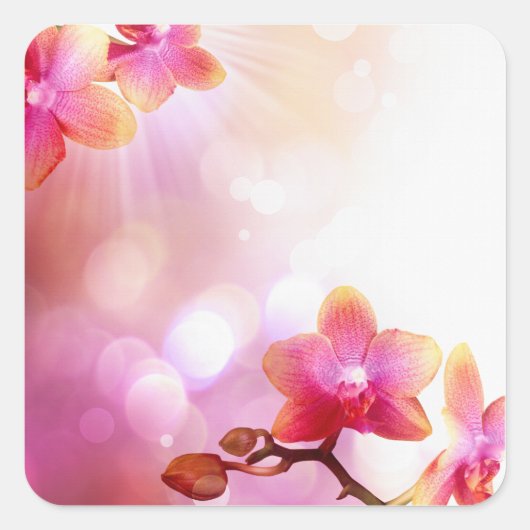 フローラシール スクエアシール (正面)