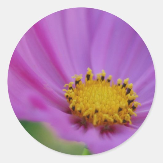 フローラシール ラウンドシール (正面)