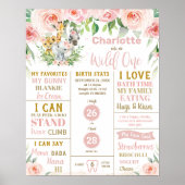 フローラジャングル動物1st誕生日マイルストーンの統計 ポスター (正面)