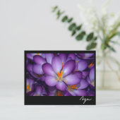 フローラスチルライフ。 ポストカード (スタンド正面)