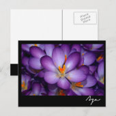 フローラスチルライフ。 ポストカード (正面/裏面)