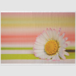 フローラティッシュペーパー 薄葉紙