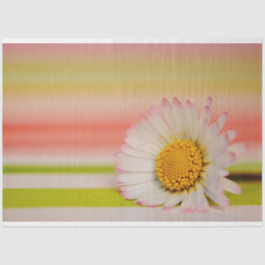 フローラティッシュペーパー 薄葉紙 (正面)