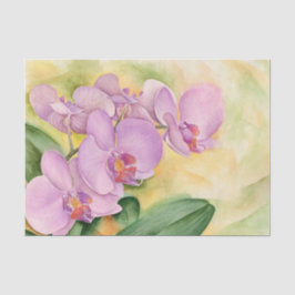 フローラデカップオーランピンクの水色 薄葉紙