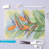 フローラデカップパラダイスウォーター色の鳥 薄葉紙 (クラフト)