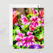 フローラデザイン5 Light.jpg ポストカード (正面/裏面)