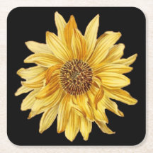 フローラデザイン、ひまわり、黒い背景