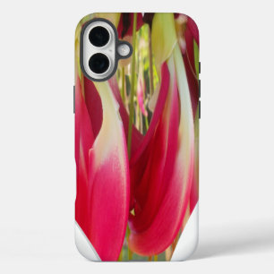 フローラハートアートプリント iPhone 16 PLUSケース