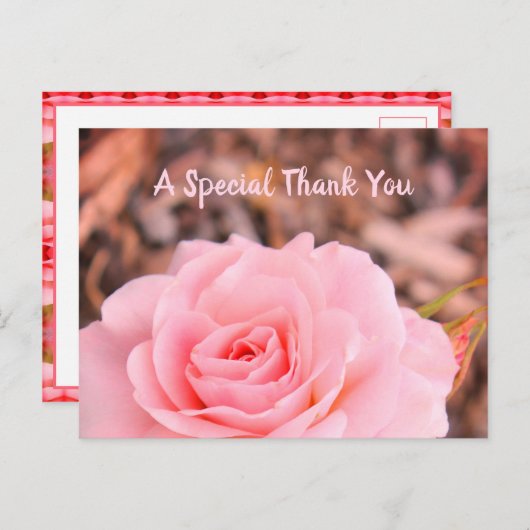 フローラバラ画像 ポストカード (正面/裏面)