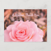 フローラバラ画像 ポストカード (正面)