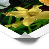 フローラバースト ポスター (角)