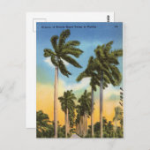 フローラパームツリーズヴィンテージフロリダ ポストカード (正面/裏面)