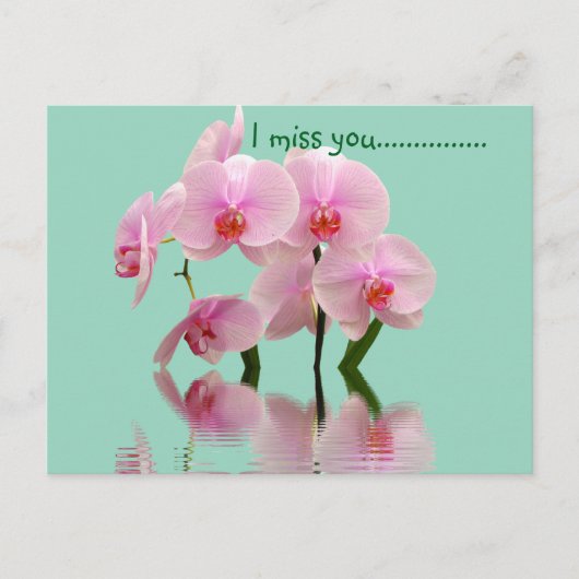 フローラピンキー ポストカード (正面)