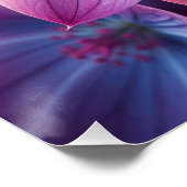 フローラピンクと紫の薄紫 ポスター (コーナー)