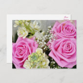 フローラピンクのバラの花空白の ポストカード (正面/裏面)