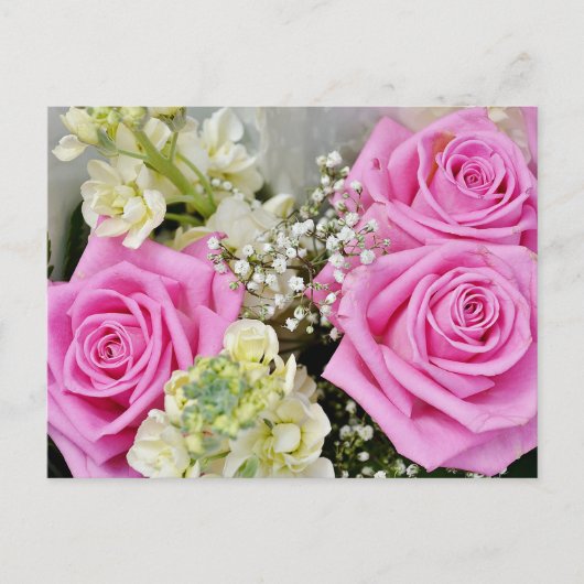 フローラピンクのバラの花空白の ポストカード (正面)