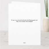 フローラピンク出血ハートありがとう サンキューカード (裏面)