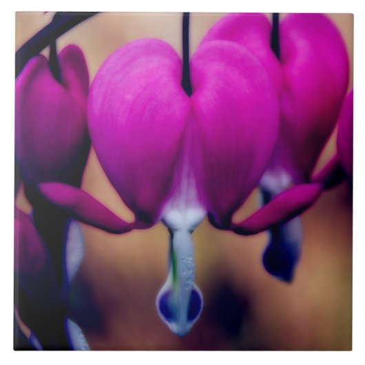 フローラピンク出血ハート タイル (正面)