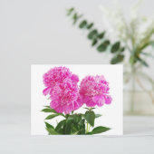 フローラピンク牡丹の花 – ありがとう,こんにちは ポストカード (スタンド正面)