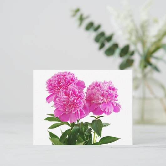 フローラピンク牡丹の花 – ありがとう，こんにちは ポストカード (スタンド正面)