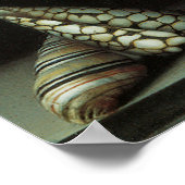 フローラファインアートポスターまたはプリント ポスター (角)