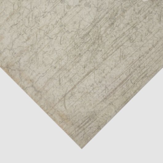 フローラファームハウスランタンエフェメラウッドデクページ 薄葉紙 (詳細)