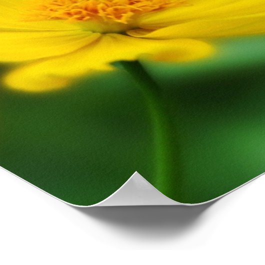 フローラフォトオブイエローフラワーwith引用文 ポスター (角)