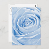 フローラフォトディーンティライトブルーバラ ポストカード (正面/裏面)