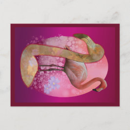 フローラフラミンゴ ポストカード