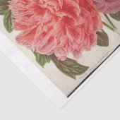 フローラフランスのエフエマデコップツーピンク牡丹 薄葉紙 (詳細)