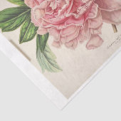 フローラフランスのエフエマデコップピンク牡丹 薄葉紙 (詳細)