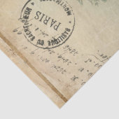 フローラフランスのヴィンテージブルーピンクエフェメラデクページ 薄葉紙 (詳細)