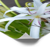 フローラフレグランスポスター ポスター (角)