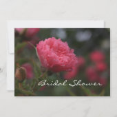 フローラブライダルシャワー、ピンク色の野生バラ花 招待状 (裏面)