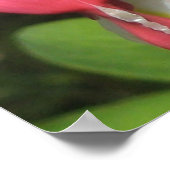 フローラブリードハートポスター – バリューマット紙 ポスター (角)