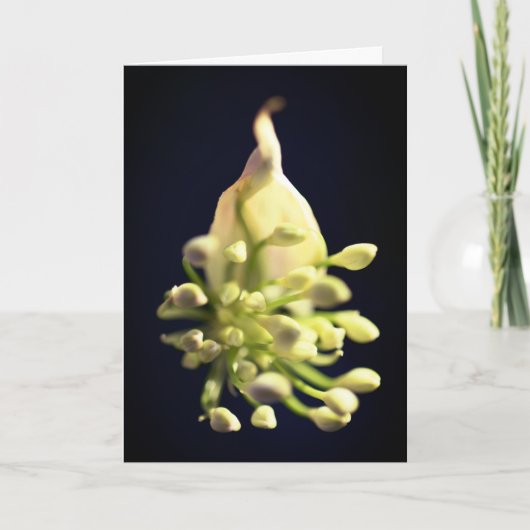 フローラプリント折り畳みサンキューカード サンキューカード (正面)