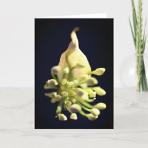 フローラプリント折り畳みサンキューカード