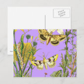 フローラボタニカルバタフライイラストレーション ポストカード (正面/裏面)