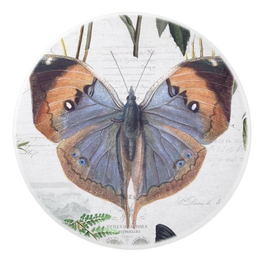 フローラボタニカルバタフライヴィンテージコテージアイボリー3 セラミックノブ (正面)