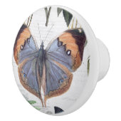 フローラボタニカルバタフライヴィンテージコテージアイボリー3 セラミックノブ (右)