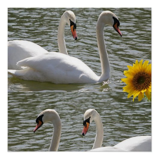 フローラポスターひまわり ポスター (正面)