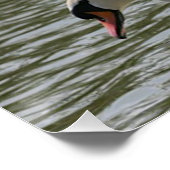 フローラポスターひまわり ポスター (コーナー)